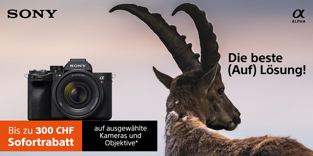 Sony High Resolution Aktion